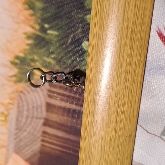 Northern Red Cardinal with Female Love Birds Hanging‎ Canvas Watercolor - Picture 6 of 7